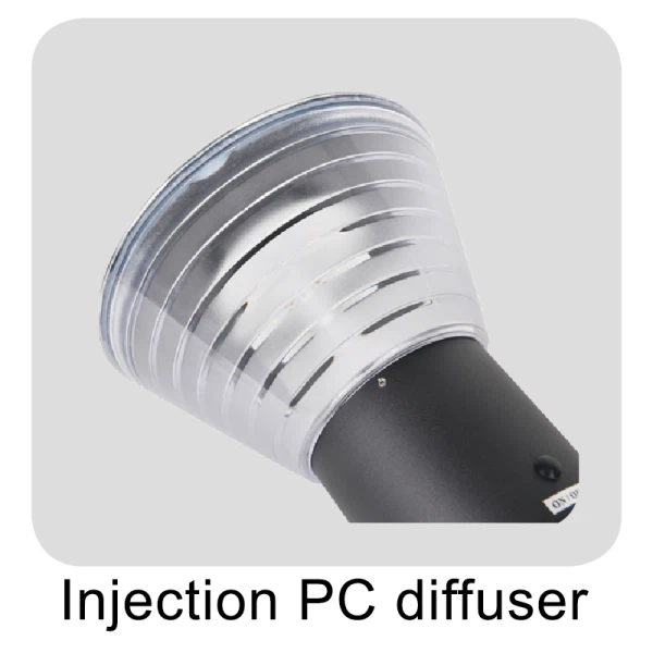 Best Solar Lights For Yard