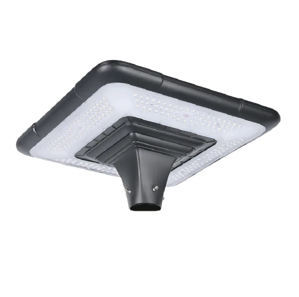 Dwal Solari Barra
