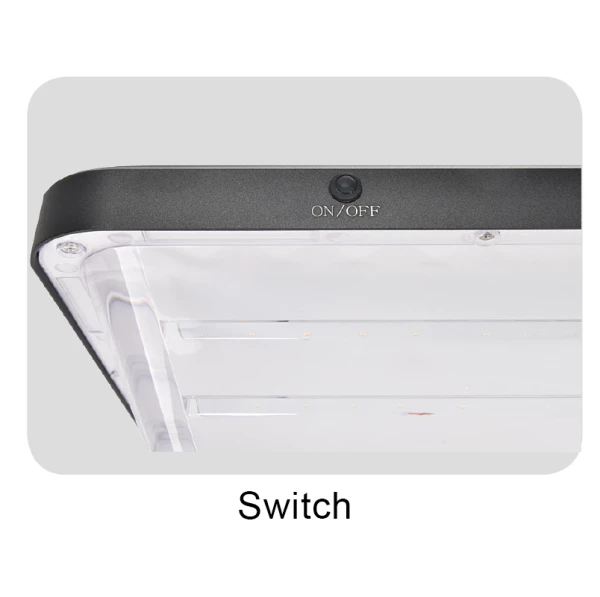 Solar Security Light With Motion Sensor