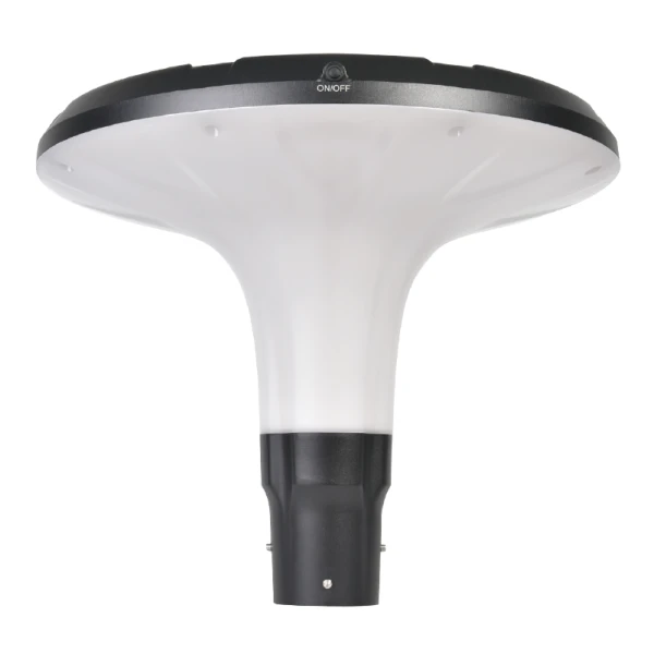 Dwal String Solari Barra